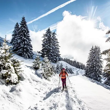 Sabaudia Sbb14 Mountain & View 6 Pers * Châtel